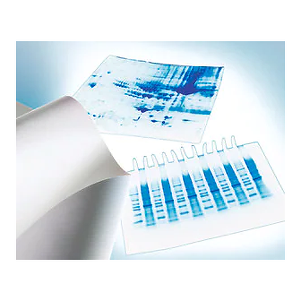 Merck Immobilon-E PVDF Membrane