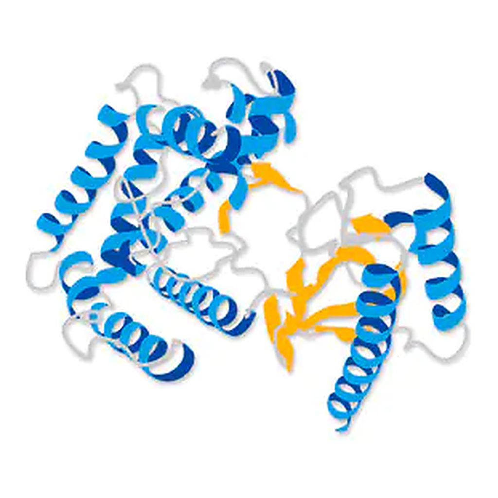 Merck Protein G, HRP conjugate