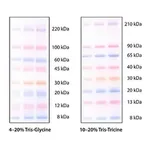 Merck ColorBurst Electrophoresis Marker