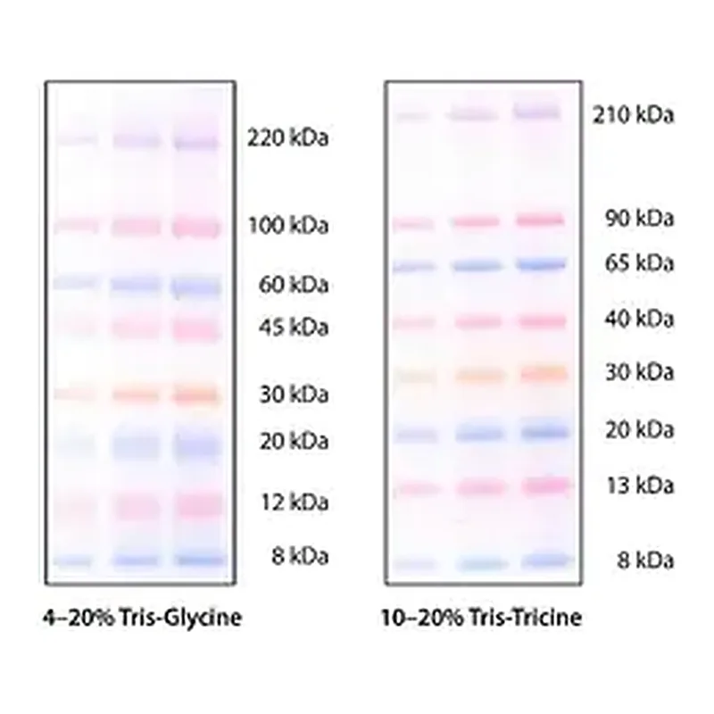 Merck ColorBurst Electrophoresis Marker