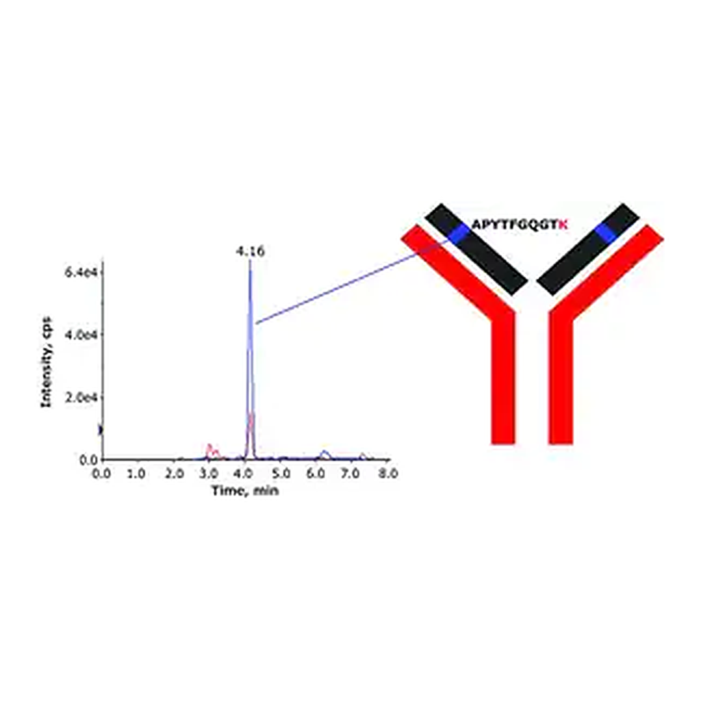 Merck SILuMAb Adalimumab Stable-Isotope Labeled Monoclonal Antibody