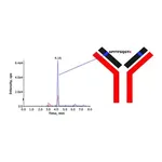 Merck SILuMAb Adalimumab Stable-Isotope Labeled Monoclonal Antibody