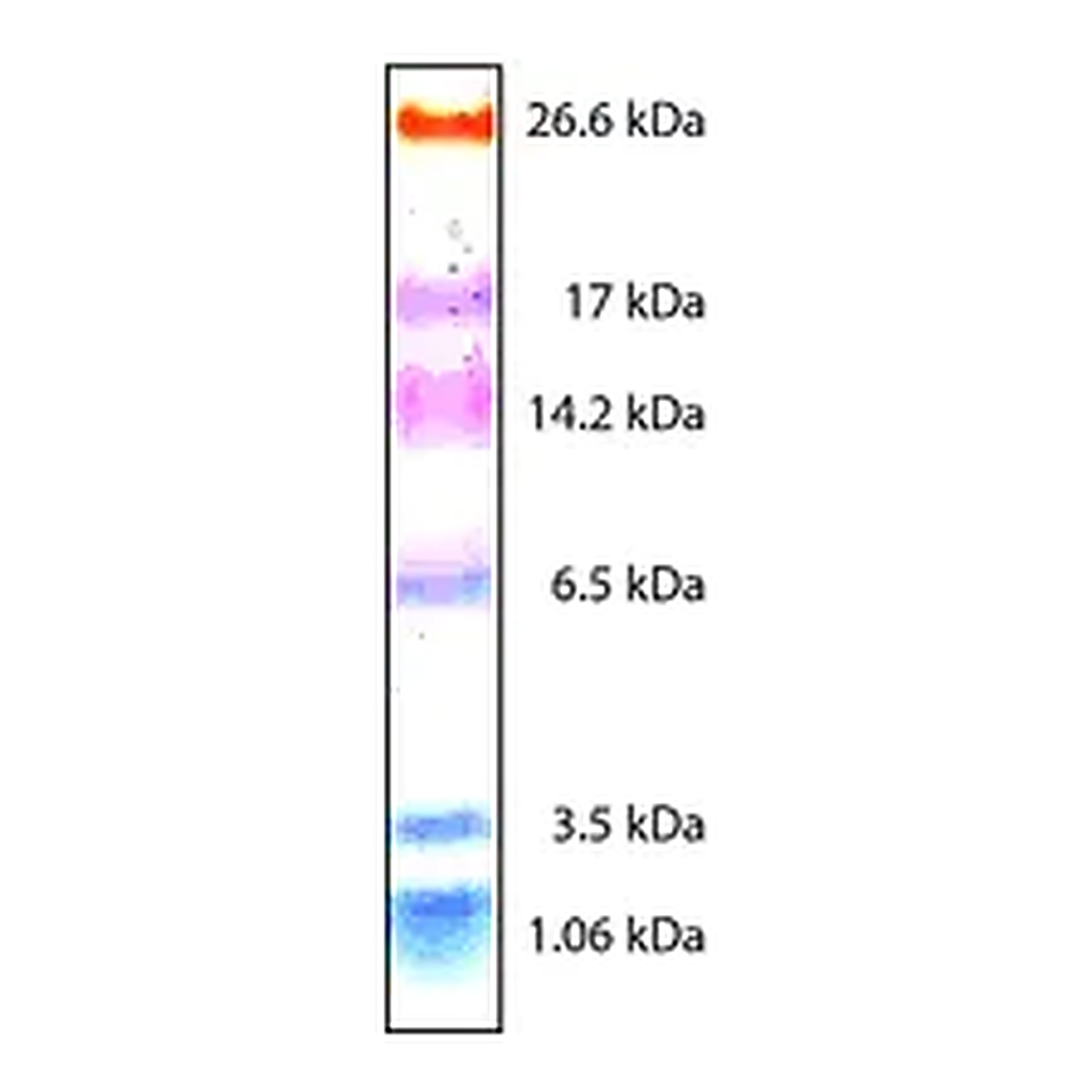Merck Color Marker Ultra-low Range (M.W. 1,060-26,600)