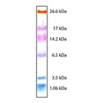 Merck Color Marker Ultra-low Range (M.W. 1,060-26,600)