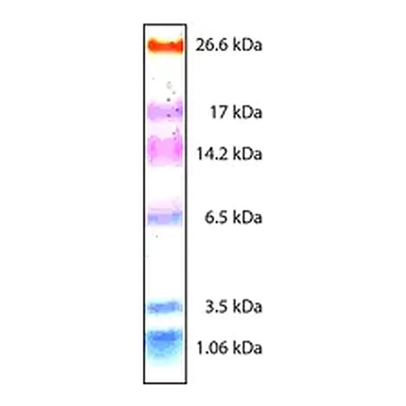 Merck Color Marker Ultra-low Range (M.W. 1,060-26,600)