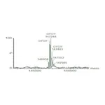 Merck SILuLite SigmaMAb Rituximab Monoclonal Antibody