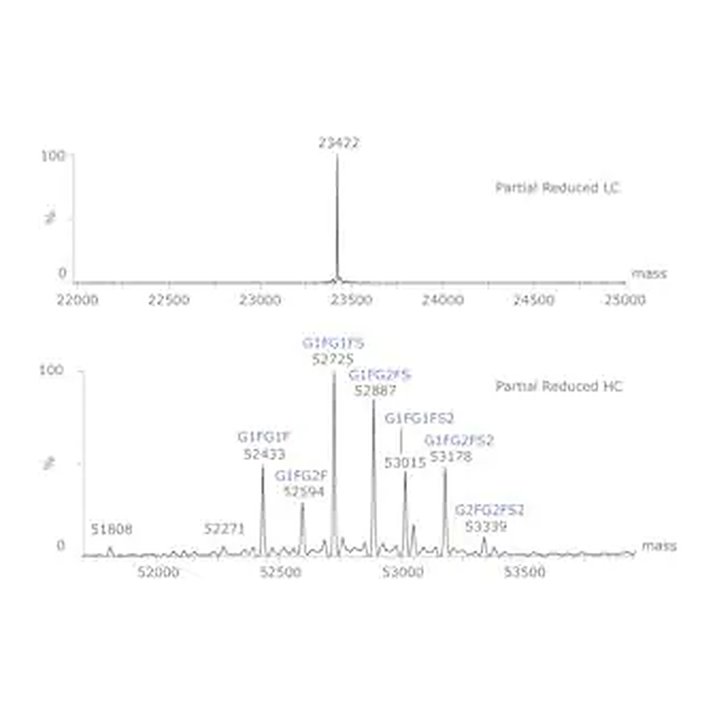 Merck SILuLite SigmaMAb Cetuximab Monoclonal Antibody
