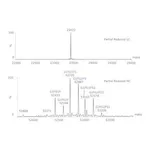 Merck SILuLite SigmaMAb Cetuximab Monoclonal Antibody