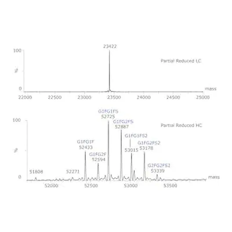 Merck SILuLite SigmaMAb Cetuximab Monoclonal Antibody