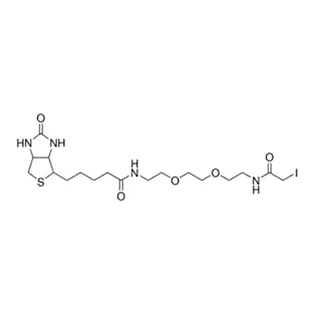Merck Biotin Polyethyleneoxide Iodoacetamide