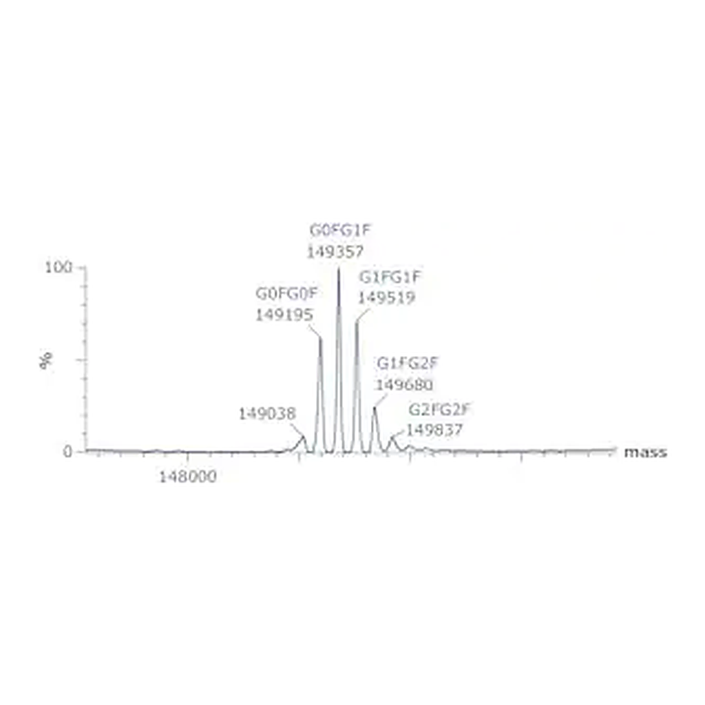 Merck SILuLite SigmaMAb Bevacizumab Monoclonal Antibody
