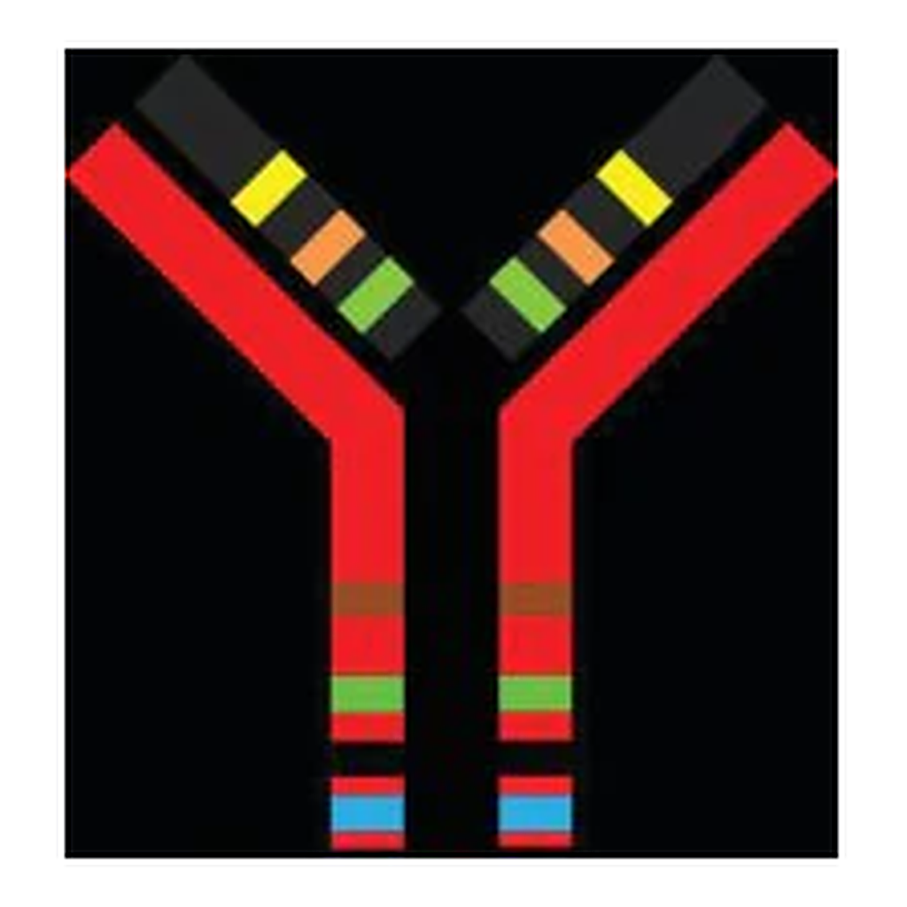 Merck SILuMAb K4 Stable-Isotope Labeled Universal Monoclonal Antibody