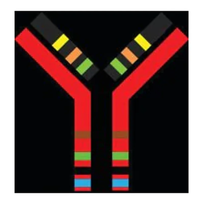 Merck SILuMAb K4 Stable-Isotope Labeled Universal Monoclonal Antibody