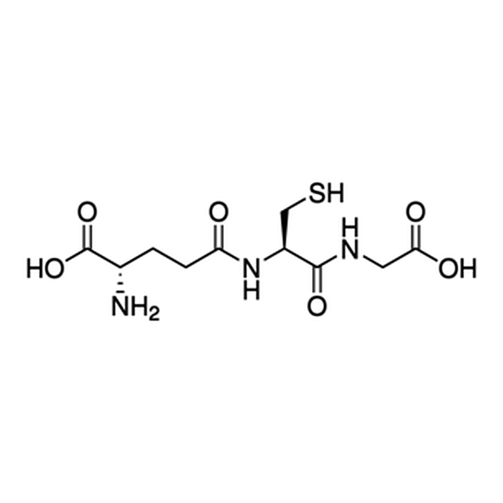 Merck Glutathione High Capacity Magnetic Agarose Beads