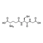 Merck Glutathione High Capacity Magnetic Agarose Beads