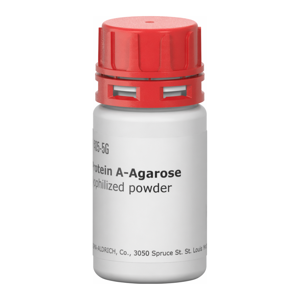 Merck Protein A–Agarose