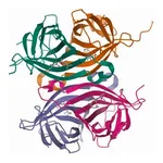 Merck Streptavidin−Agarose from Streptomyces avidinii