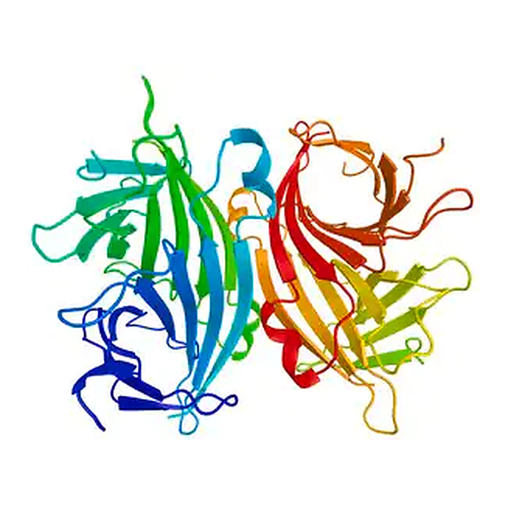 Merck Avidin−Agarose from egg white