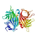Merck Avidin−Agarose from egg white