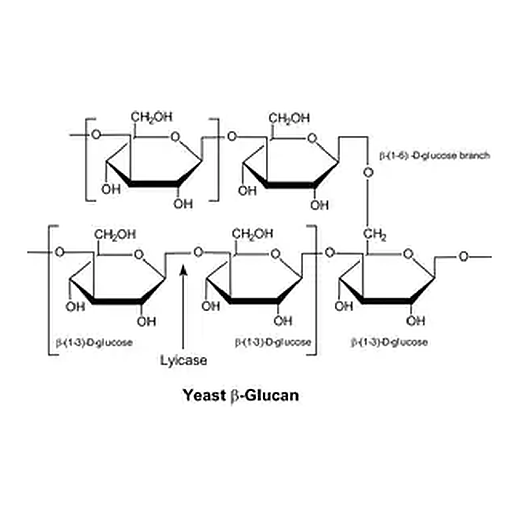 Merck Lyticase from Arthrobacter luteus