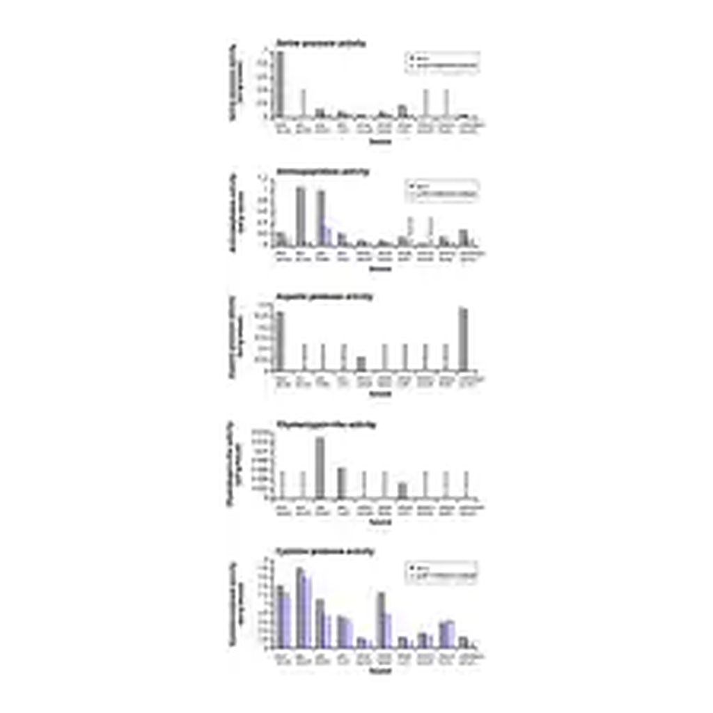 Merck Protease Inhibitor Cocktail