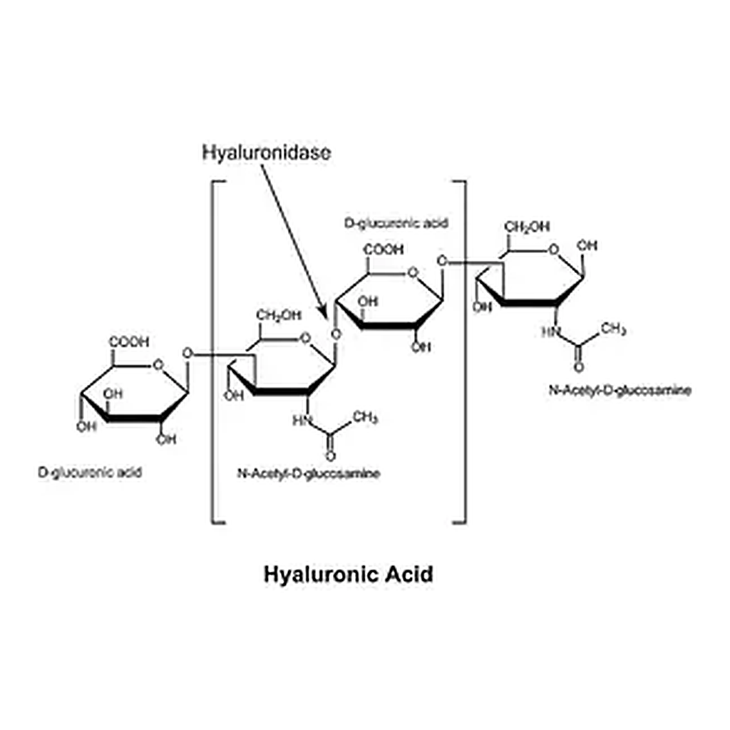 Merck Hyaluronidase from bovine testes