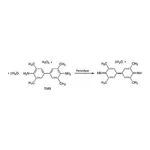 Merck 3,3′,5,5′-Tetramethylbenzidine (TMB) Liquid Substrate System for ELISA