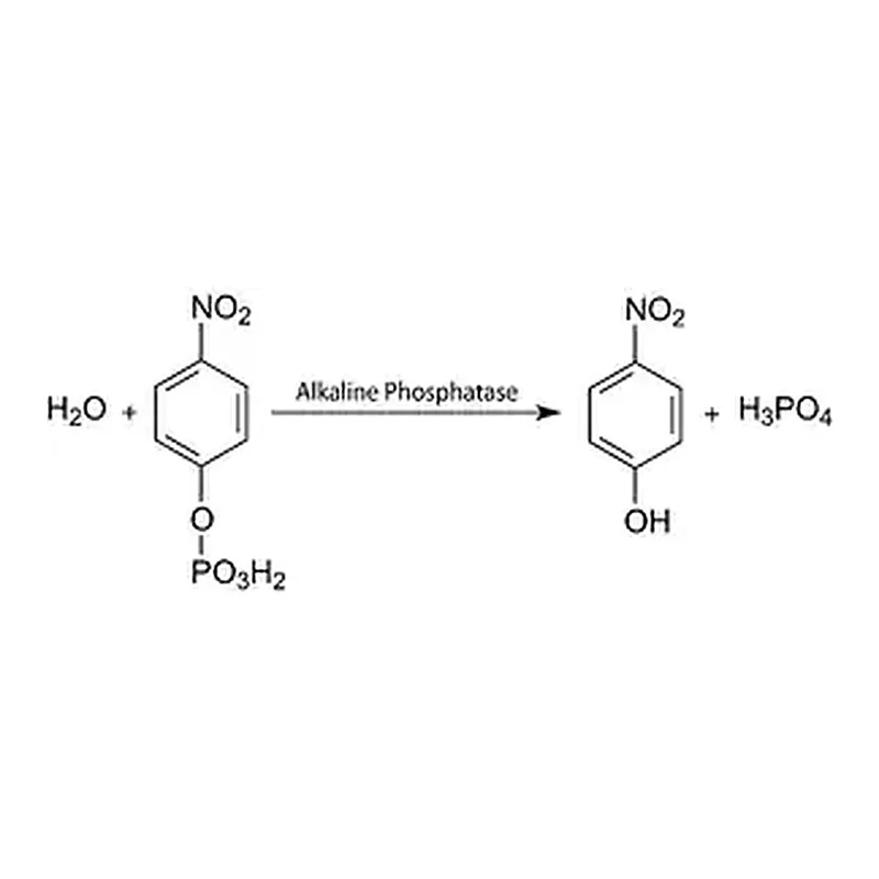 Merck Alkaline Phosphatase Yellow (pNPP) Liquid Substrate System for ELISA