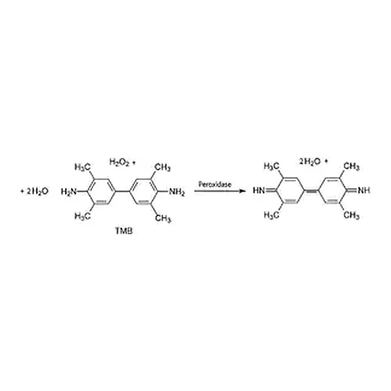 Merck 3,3′,5,5′-Tetramethylbenzidine (TMB) Liquid Substrate System