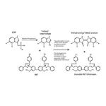 Merck BCIP/NBT Liquid Substrate System