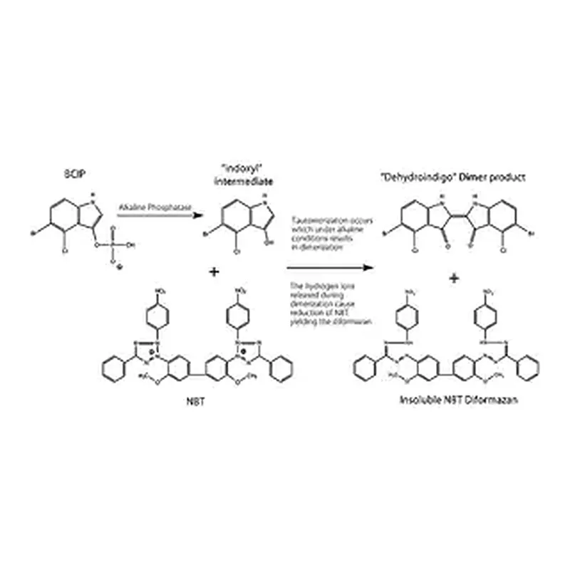 Merck BCIP/NBT Liquid Substrate System