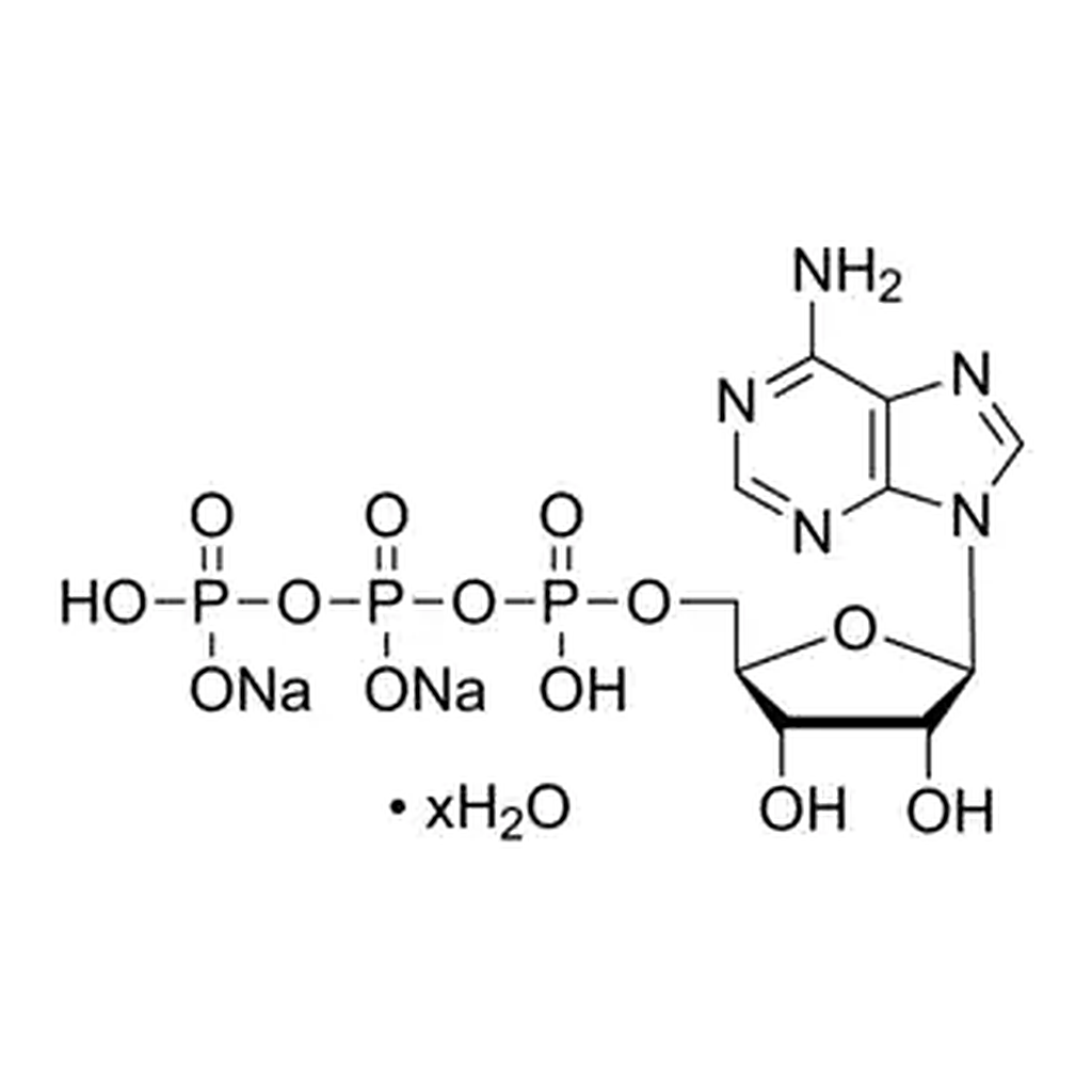 Merck Adenosine 5′-triphosphate (ATP) disodium salt hydrate
