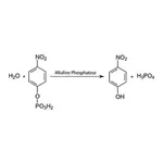 Merck SIGMAFAST p-Nitrophenyl phosphate Tablets