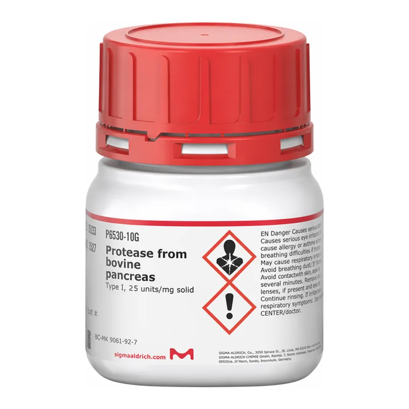 Merck Protease from bovine pancreas