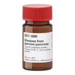 Merck Elastase from porcine pancreas