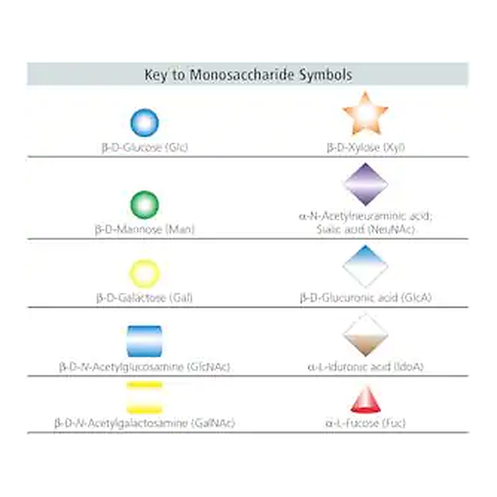 Merck O-Glycosidase from Streptococcus pneumoniae