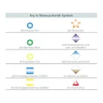 Merck O-Glycosidase from Streptococcus pneumoniae