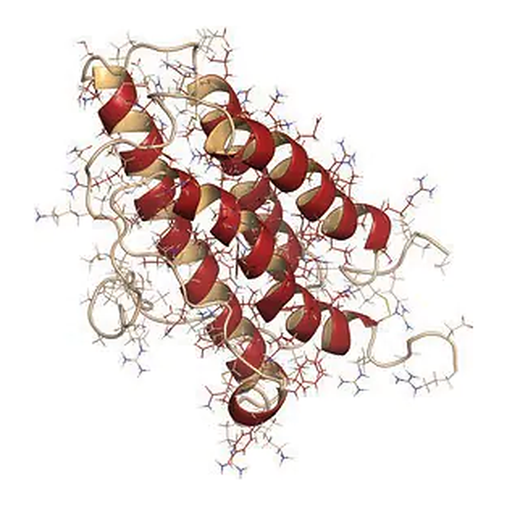 Merck Native Protein Deglycosylation Kit