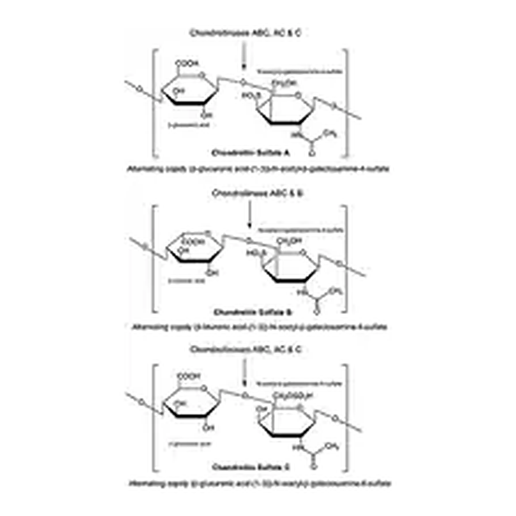 Merck Chondroitinase C from Flavobacterium heparinum