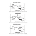Merck Chondroitinase C from Flavobacterium heparinum