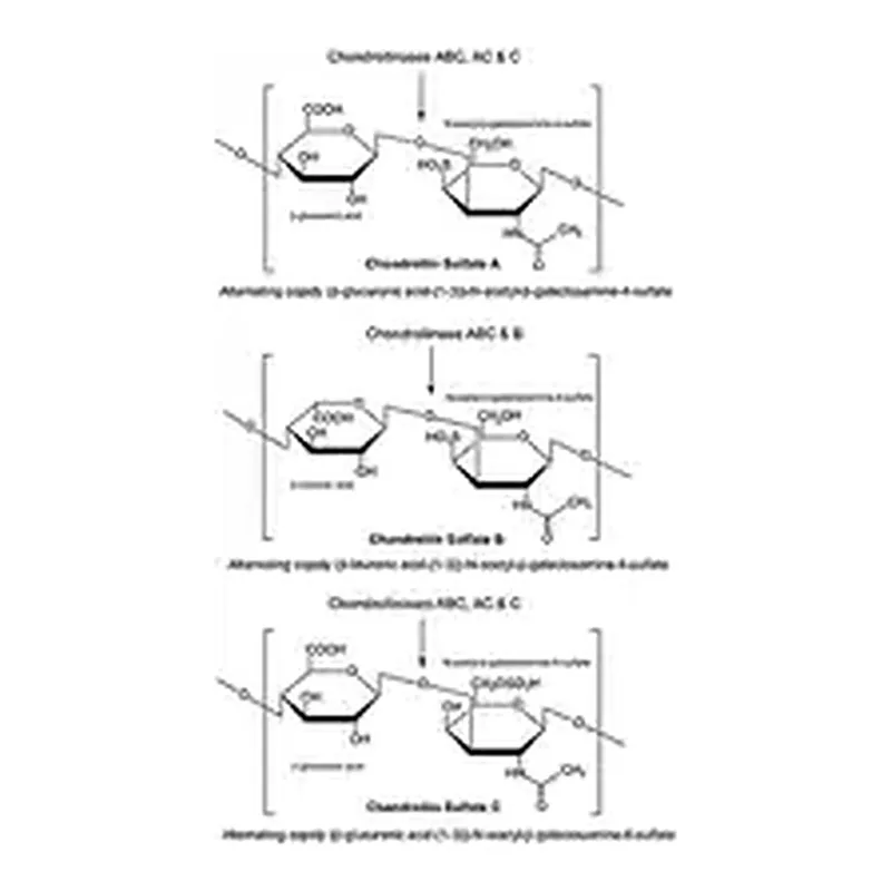 Merck Chondroitinase C from Flavobacterium heparinum