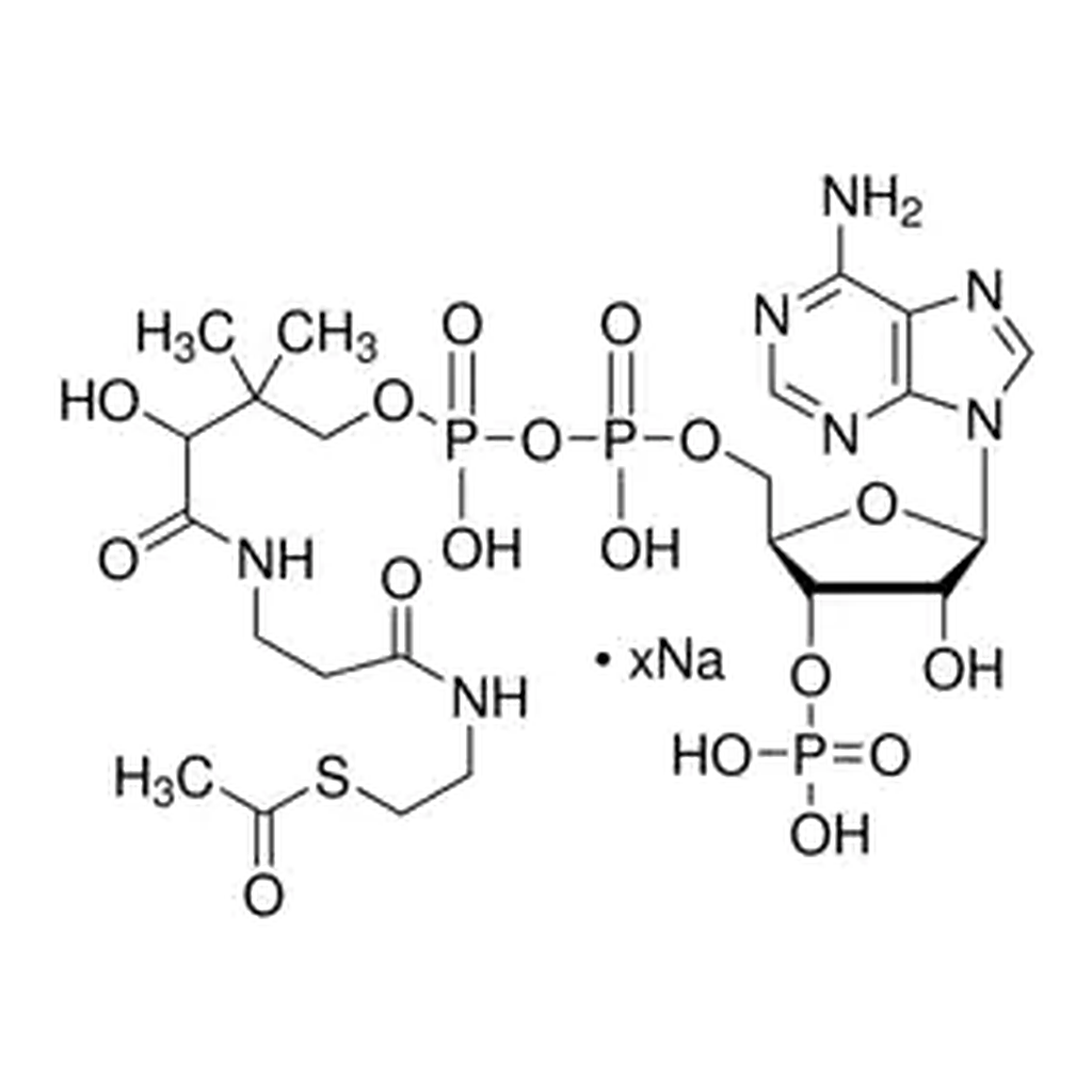 Merck Acetyl coenzyme A sodium salt