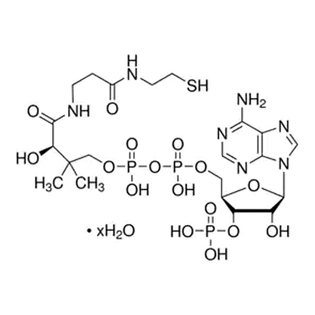 Merck Coenzyme A hydrate