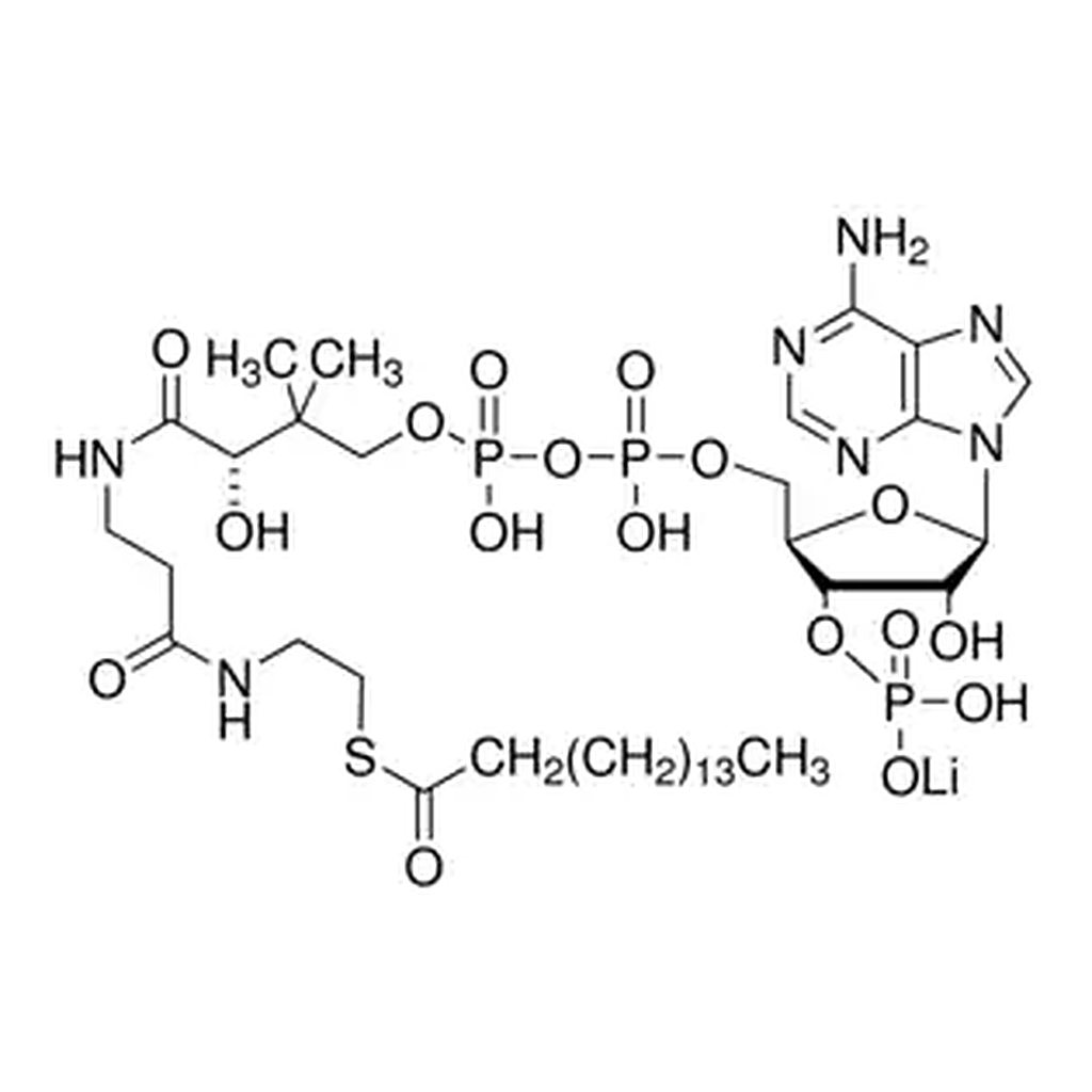 Merck Palmitoyl coenzyme A lithium salt