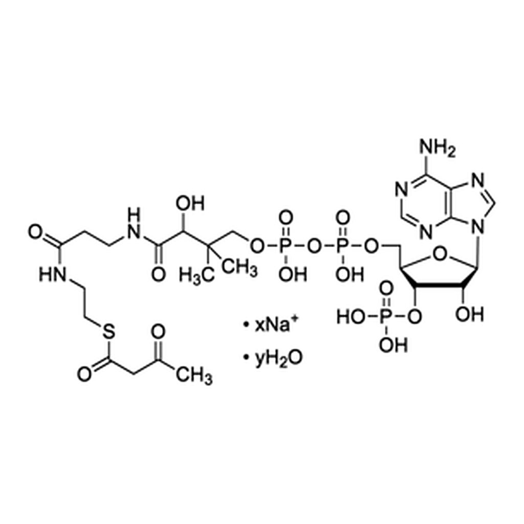 Merck Acetoacetyl coenzyme A sodium salt hydrate