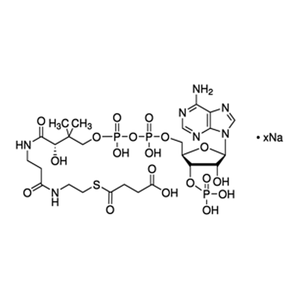 Merck Succinyl coenzyme A sodium salt