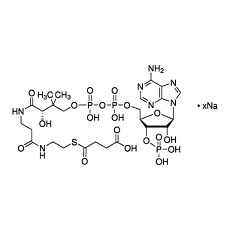 Merck Succinyl coenzyme A sodium salt