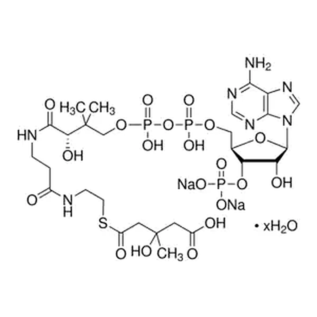 Merck DL-3-Hydroxy-3-methylglutaryl coenzyme A sodium salt hydrate