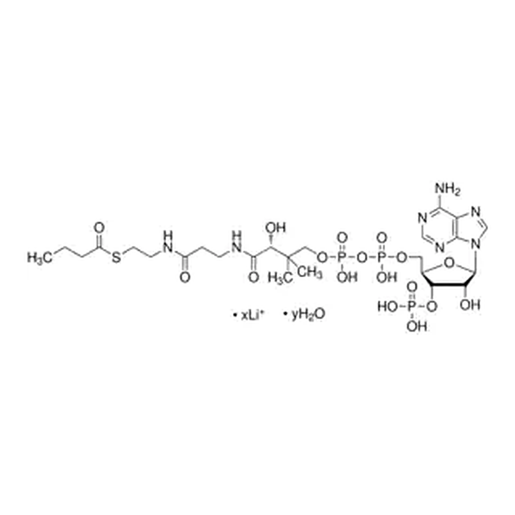 Merck Butyryl coenzyme A lithium salt hydrate