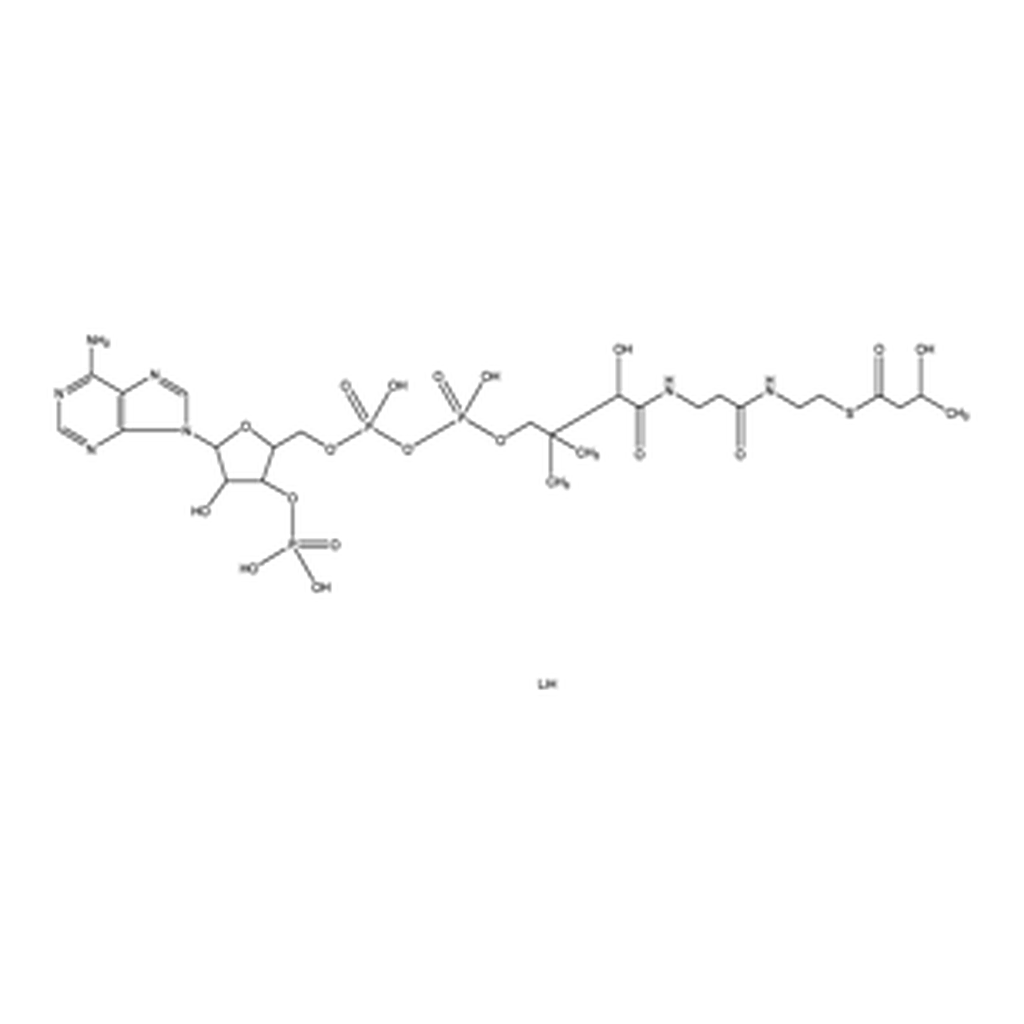 Merck DL-β-Hydroxybutyryl coenzyme A lithium salt